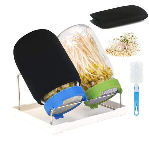 Lulonpon Sprouting Kit 2 Sprouting Jar Kits Wide Mouth Quart Mason Jars with Stainless Steel Screen Sprout Lids 1000ml Sprouts Growing Kit Seed Sprouter Set for Growing Broccoli Bean Alfalfa