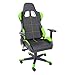 TPFLiving Sedia da gaming Fire – ergonomica da ufficio Gamer con cuscino lombare e poggiatesta – Sedia da corsa – Sedia direzionale – Portata fino a 150 kg – Ecopelle – Nero/Verde