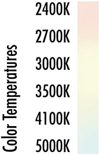 TCP Low Profile SpringLamp CFL Light Bulb Soft White 60W Equivalent (2700K) GU24 Twist and Lock Base