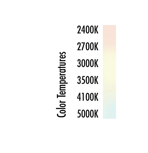 Tcp Halogen A19 4 Pack. Dimmable, Warm White, 100 Watt Equivalent (Only 72W Used!) Frosted, Standard Household Light Bulb -442272B4 #TOP5