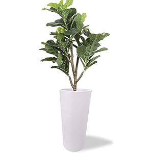 Elly Décor 24 inch Tall Planter with Drainage, Outdoor Round, Lightweight & Resistant Plant Containers, Round Tall…