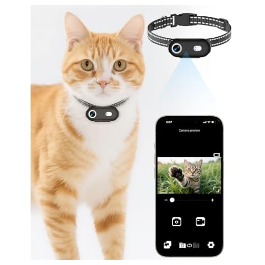 LuminiCam HD Cat Camera Collar