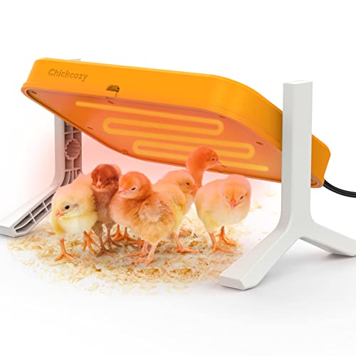 12 Best Chick Brooder Reviews in 2023 Maine Innkeepers Association