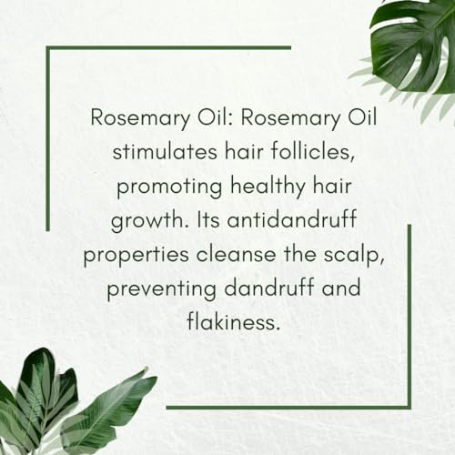 Image of Argan oil and Rosemary oil Combo For Promoting Hair Growth, Deeply Nourish and Hydrate Scalp 100% Pure & Natural (30 Ml+15 Ml) Pack of 2