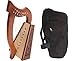 Lily Harp Package Includes: Roosebeck Lily Harp 8-string - Knotwork Design + Lily Harp Nylon Carry Case Bag New