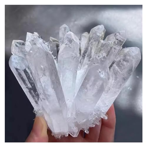 Espécimen de punta de cristal de cuarzo verde premium: pieza de colección única 4
