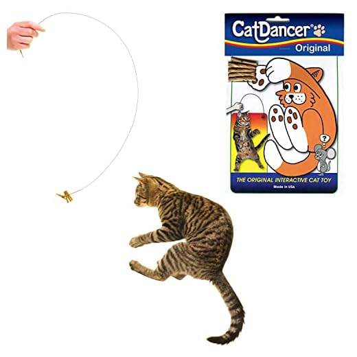 Brinquedo interativo para gatos Cat Dancer 101