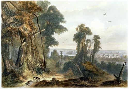Peinture murale Karl Bodmer harmonie sur le Wabash pour créer un salon élégant