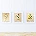 Produktbild Pack von Sense. Plakate mit Bilder Botanical. Home Decor. Blatt fr Einrahmung Papier 250Gramm hohe Qualitt