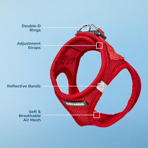 Image of Best Pet Supplies Voyager Step-in Air Harness - All Weather Mesh, Reflective, No Pull Harness for Dogs, Cats - Secure with Hook & Loop Fastener, Buckle, Double D-Rings - Red, XS