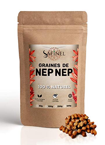Nep Nep Graine Entière nettoyé Cover