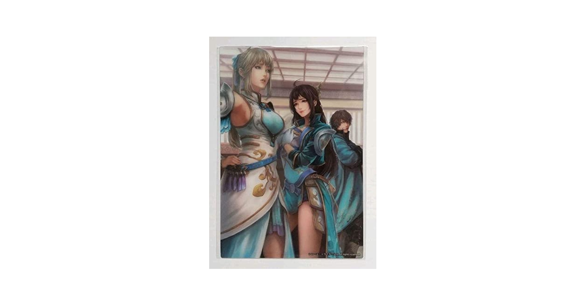 王元姫 辛憲英 DLC衣装】真・三國無双8 辛憲英【ギャラリー鑑賞】Dynasty