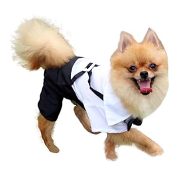 QiCheng&LYS Dog Clothes Pet Stylish Suit Bow Tie Costume, Dog Clothes, Tuxedos and Wedding Dresses(S)