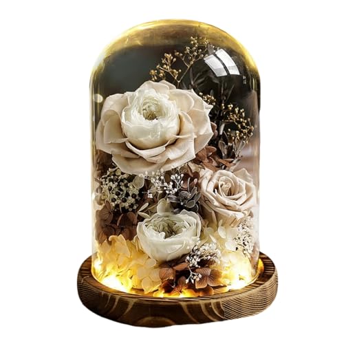 Ruying vU[uht[  dp    KXh[ ybg KN ledCgt AWg ybĝ   ފ ~ V~ ~ 䋟 l\   Q (J[L) [s