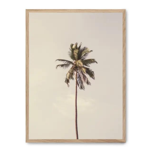 Cuadro palm tree and sky iii FASE5 tableau palmier ciel bleu moderne