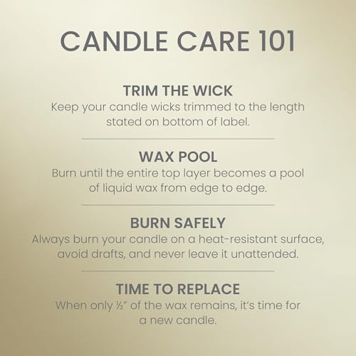 Image of Yankee Candle Sage & Citrus, Scented Candle, 22oz Large Jar with up to 150 Hour Burn Time, Giftable, Birthdays (Pack of 4)