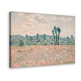 Claude Monet - Lienzo decorativo para pared, diseño de campo de amapolas, para dormitorio, oficina, habitación, marco de regalo, 30,5 x 45,7 cm