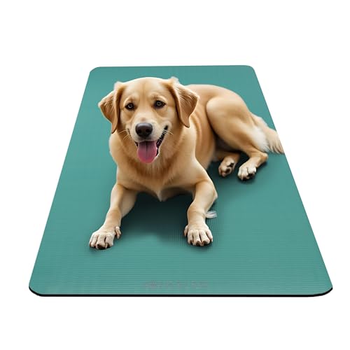 Gaiam Essentials Thick Yoga Mat Fitness & Exercise Mat With Easy-Cinch Carrier Strap, Teal, 72"L X 24"W X 2/5 Inch Thick by Gaiam - Image 6