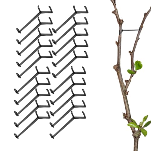 } | 20 \ }c[,؈Lbg,}K[fjO  A XΏC Ȃ Op