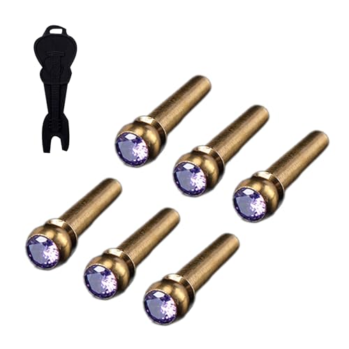 6�̃��^���M�^�[�X�g�����O�y�O�M�^�[�A�N�Z�T���[�قƂ�ǂ̃A�R�[�X�e�B�b�N�M�^�[�p�[�c�ƃA�N�Z�T���[�ɓK������т����g�[���ɓK���Ă��܂�