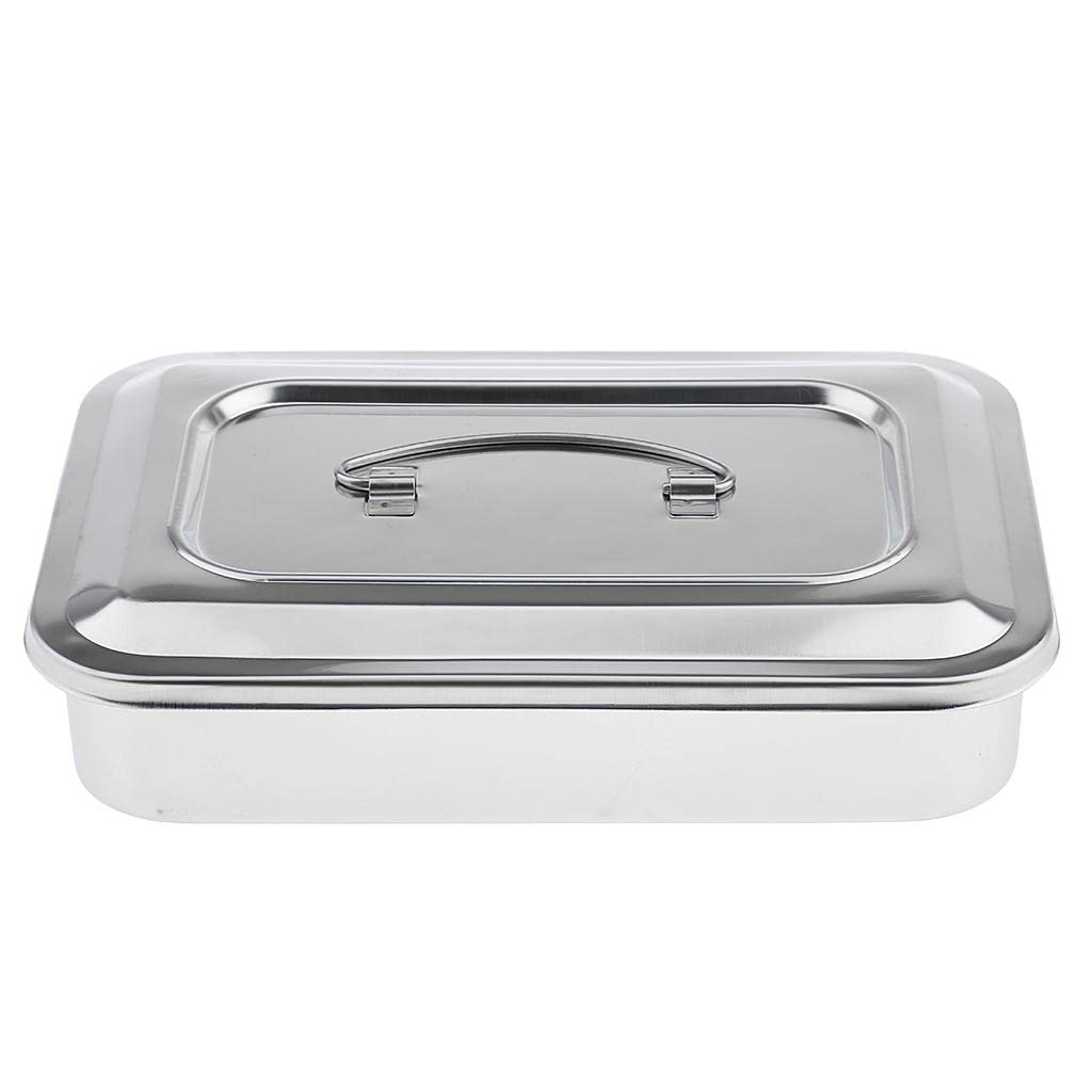 3X Stainless Steel Instrument Storage Box with Lid - Veterinary Tools Organizer for Medication, Dentistry Instruments - 3 Pack Stainless Steel Tray Set