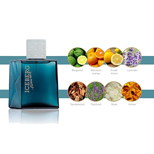 Iceberg Classic Homme Eau de Toilette Spray 100ml - Image 5