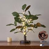 Hairui Lighted Magnolia Tree with Timer 18IN 35 LED Fairy Lights Battery Operated or USB Plug in, Artificial Greenery Tabletop Tree with Lights for Spring Room Fireplace Décor