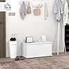HOMCOM Cassapanca, Panca Contenitore Multiuso con Cerniere di Sicurezza, Panca Portaoggetti Scarpiera in Legno con Coperchio per Ingresso, Corridoio, Camera da Letto, Soggiorno, 80x40x40cm, Bianco #1