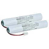 Batteries de rechange pour éclairage de secours | Rechargeable | Chaque cellule de batterie est testée