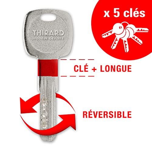 Thirard 00918799 - Cilindro Serratura 30 X 60 Mm, Transit 2, Dimensioni: 30 X 60 - Cilindro Profilato, Transit 2, Profilo Europeo In Ottone Meccanismo A 6 Pistoni - 5