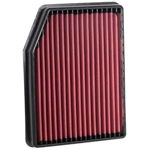 AEM 28-50083 DryFlow Air Filter, Red