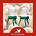 RentACoop Chick Feeder Waterer Set (1.5 L Waterer 1L Feeder Set)