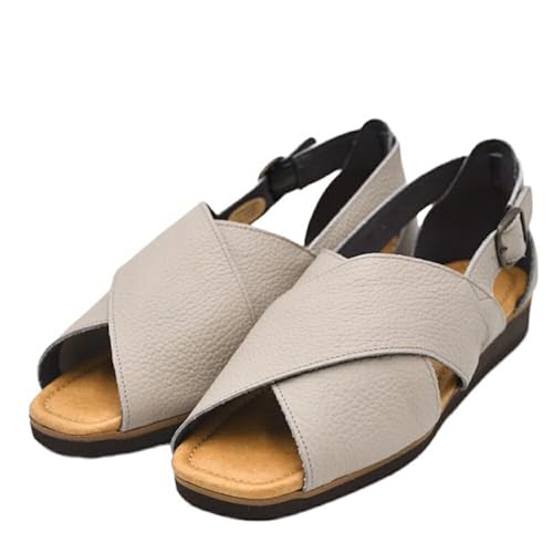 [Figurino] tBO[m y {v XgbvT_ FT2040(SP2040) N[O[ 24.5cm { L 3E b CY  bNX U[ v NXxgT_ fB[X C