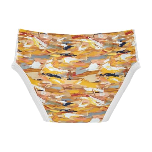 visesunny Boys Cotton Underwear Warm Color Pigment Design Printed Toddler Soft Training Briefs Size 2T-8Y for Kids2