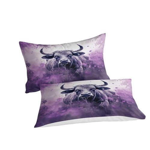 Juego de funda nórdica lavanda de microfibra suave para cama doble infantil 6