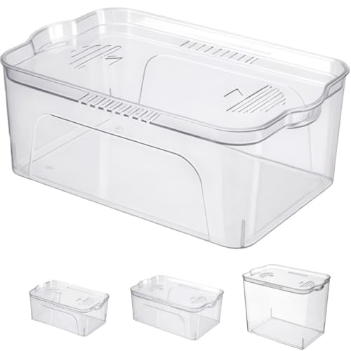 Zekono   vX`bN   Wt 傫 A͔| e  h Ȑ ƒp ȋ   pi 琬 CeA Sޗ Ϗ܋p (^ - Wt