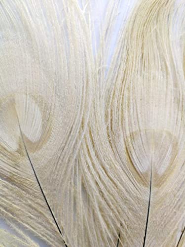 20Pcs 10"-12" Dyed Peacock Feathers For Hat Costume Craft Wedding Holiday Decoration Floral Arrangements (Off White) #TOP3