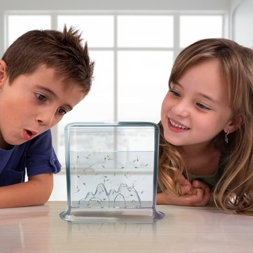 Aqua Dragon Underwater World Aquatic Pets, STEM-Lernspielzeugset, lebende Haustiere ausbrüten und wachsen Lassen, Eier, Futter, Löffel, Lupe, für Kinder ab 6 Jahren, 17 x 6 x 18 cm