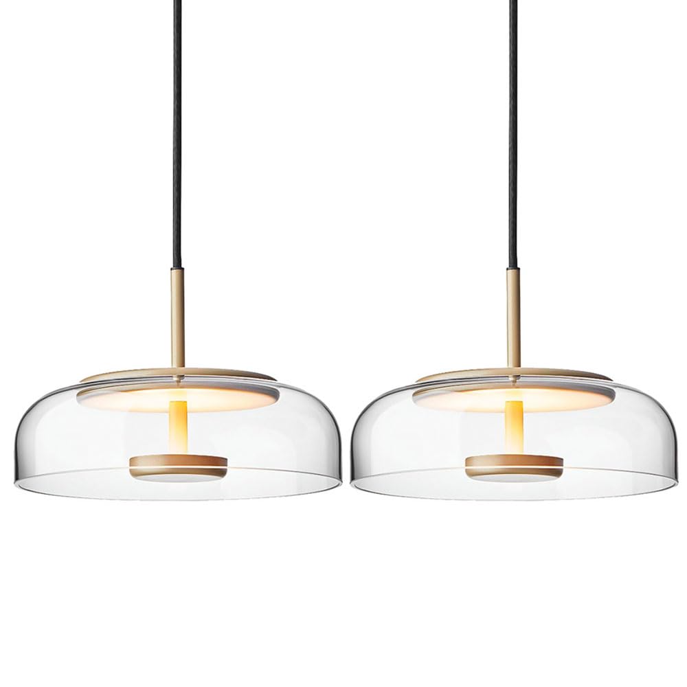 RiankhPendant Light Clear Glass LED Suspension Lighting Rustproof Hardware Lighting Decoration Nordic Simple Indoor Lighting Adjustable Suspension Lighting 150cm (Color : 2 Packs)
