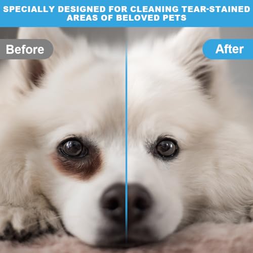 Aomig Augentropfen für Hund Katze 50ML Augenpflege für Haustiere 100% Natürliche Augenspray Hunde & Katzen für Reinigung von Augenausfluss, Entfernung von Fremdkörpern, Tränenflecken und Entzündung(A)