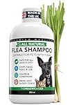 The Healthy Dog and Cat Co. – All Natural Flea Shampoo for Dogs & Cats – Gentle Wash with Quassia & Lemongrass – Safe, Vegan Formula for Itchy Skin – Dog & Cat Shampoo – Made in UK