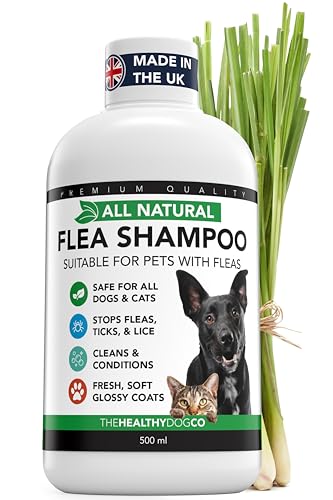 The Healthy Dog and Cat Co. All Natural Flea Shampoo for Dogs & Cats Gentle Wash with Quassia & Lemongrass Safe Vegan Formula for Itchy Skin Dog & Cat Shampoo Made in UK