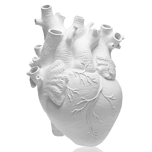 Casa a forma di cuore con vaso per fiori secchi da lov3d