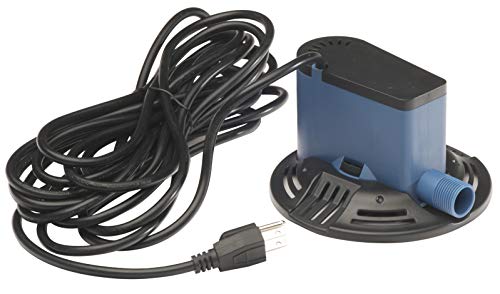 https://m.media-amazon.com/images/I/41m4BNgdWmL._SL500_.jpg