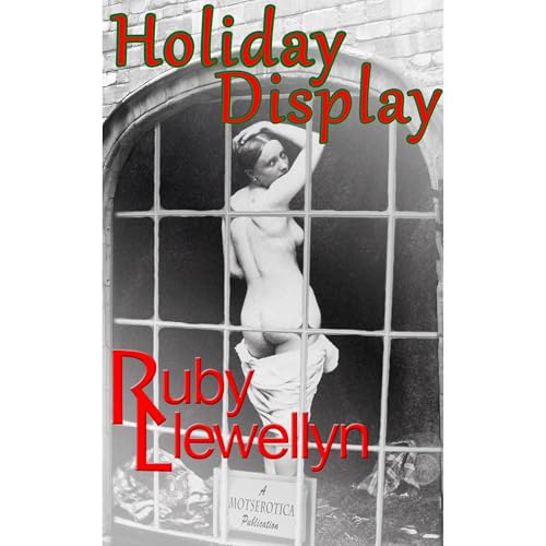 Holiday Display Audiolibro Por Ruby Llewellyn arte de portada