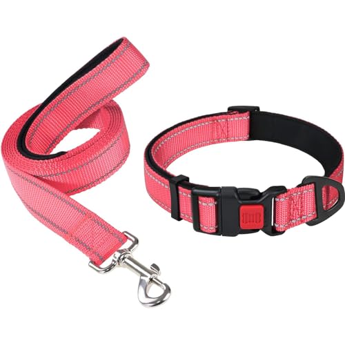 Taglory 18"-28" Dog Collar and 4 FT Dog Leash Set, Highly Reflective Threads Dog Leash, Adjustable Reflective Dog Collar with Safety Locking Buckle for Extra Large Dogs