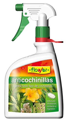 Flower 30558 - Listo para diluir anticochinillas, 1000 ml