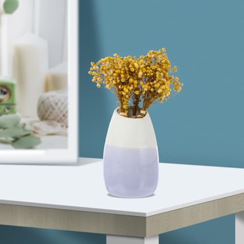 Ramo de Flores Secas Preservadas Gypsophila Babysbreath Amarillo miniatura 5