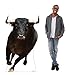 Cardboard People Bull Life Size Cardboard Cutout Standup - Made in USA