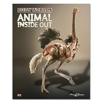 Body Worlds: Animal Inside out